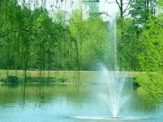 Lake and Dock