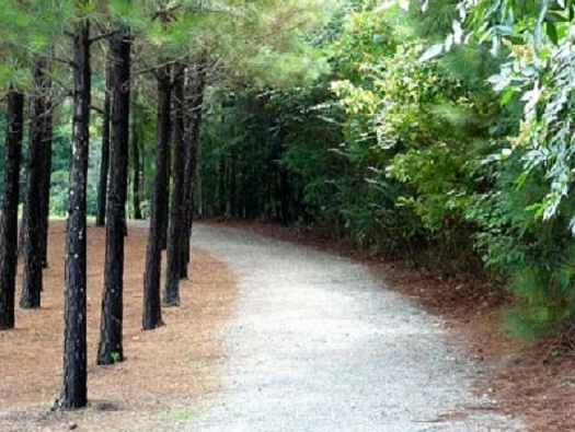 Fitness Trail