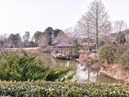 Lake and Dock